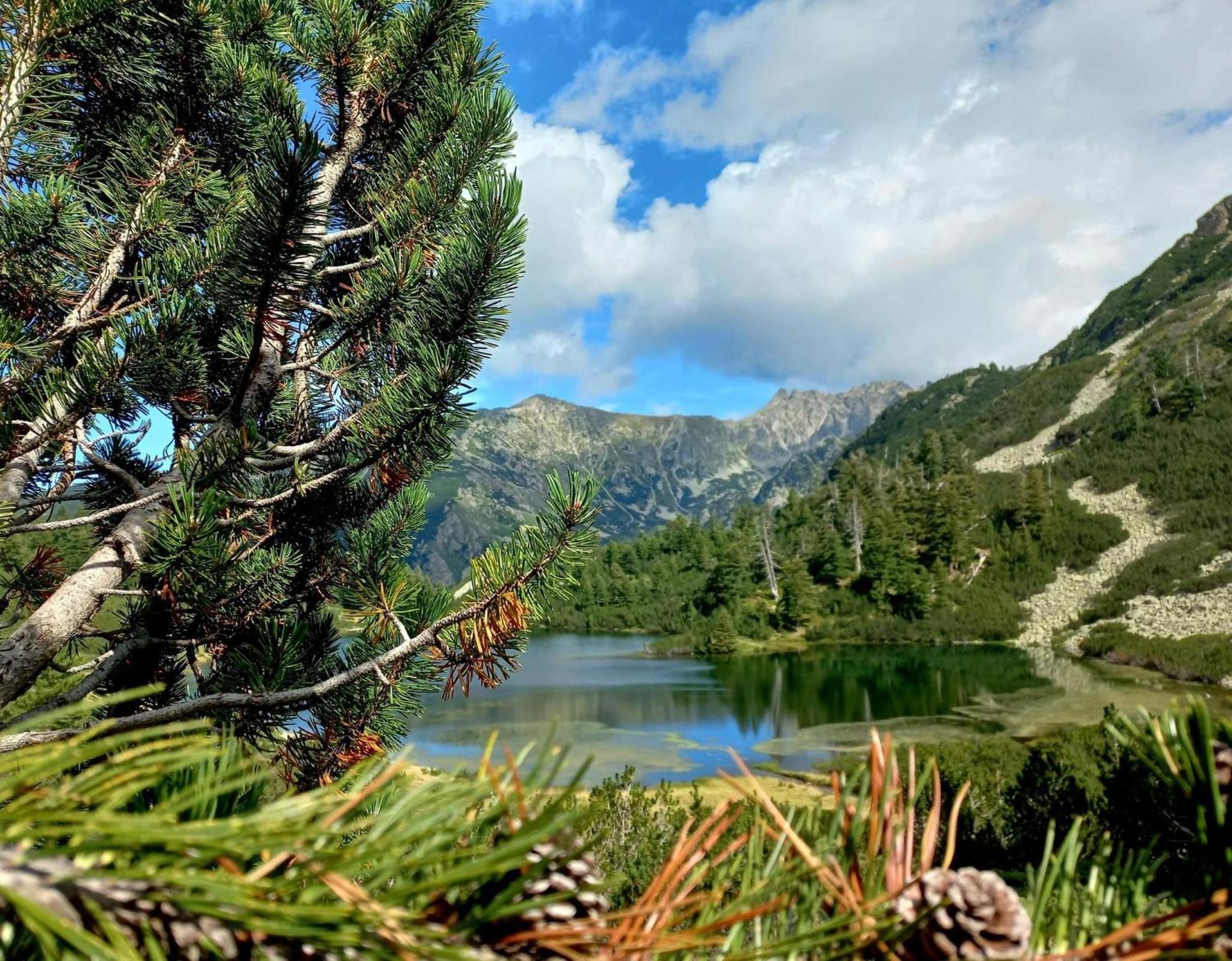 Alpine Lodge Bansko Apartments Екстериор снимка