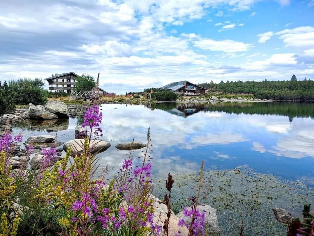 Alpine Lodge Bansko Apartments Екстериор снимка