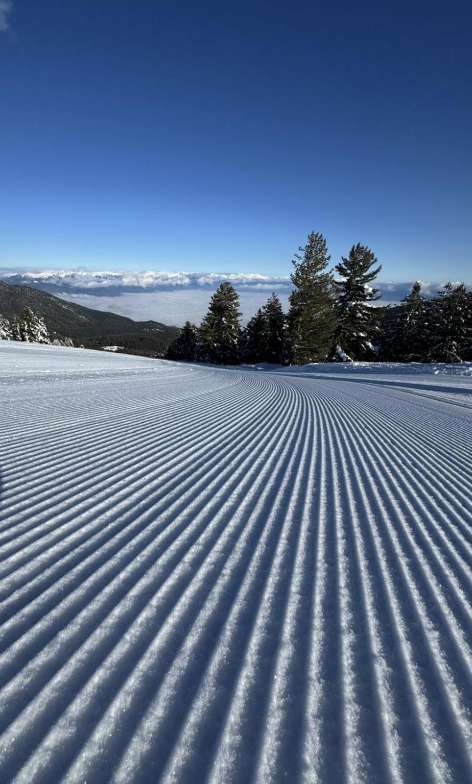 Alpine Lodge Bansko Apartments Екстериор снимка
