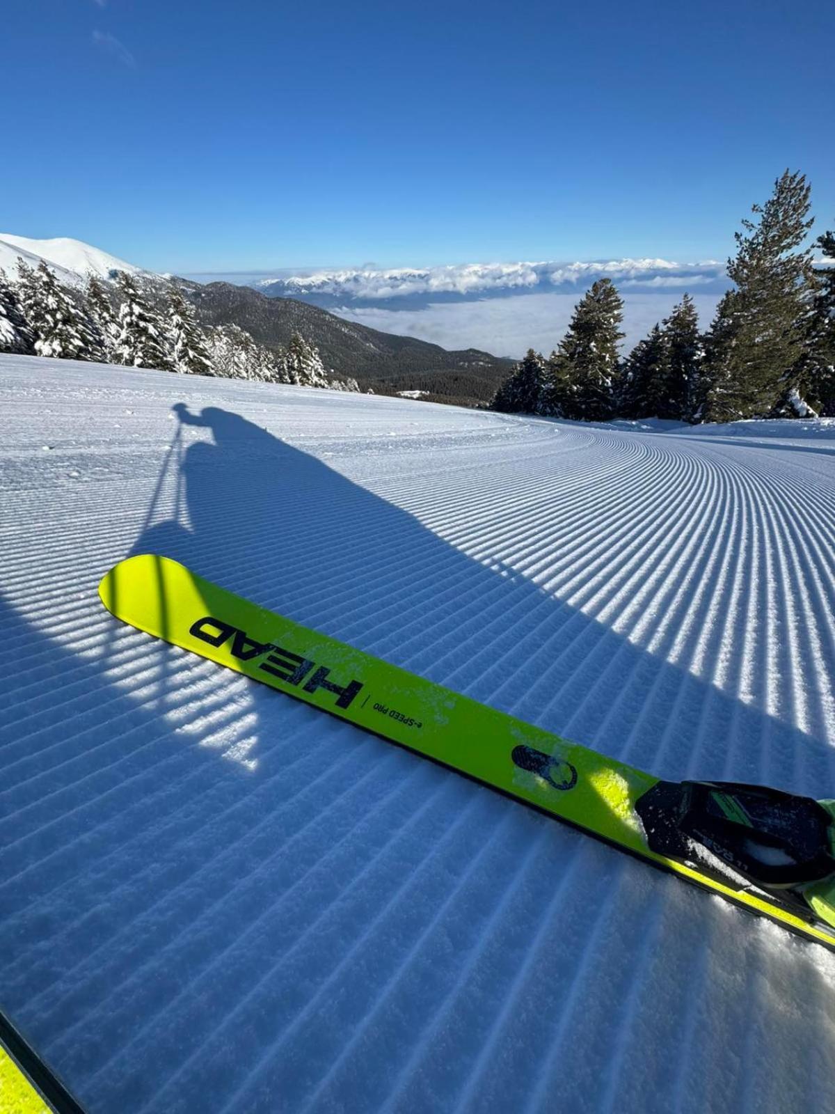 Alpine Lodge Bansko Apartments Екстериор снимка