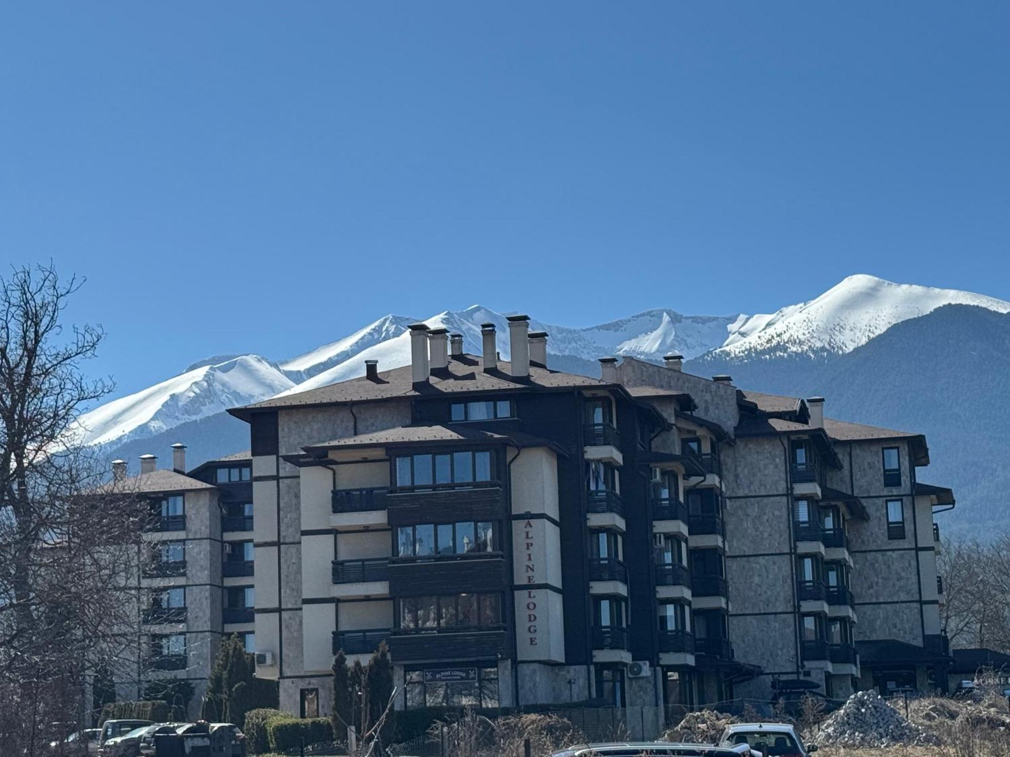 Alpine Lodge Bansko Apartments Екстериор снимка